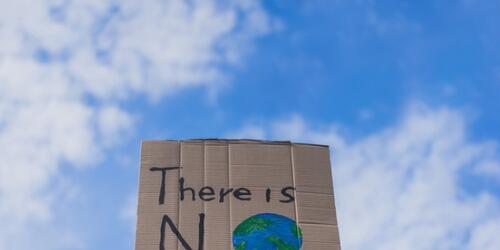 Climate change protestor